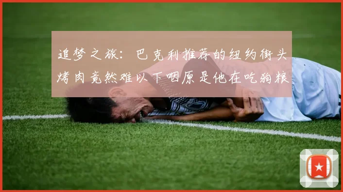 追梦之旅：巴克利推荐的纽约街头烤肉竟然难以下咽原是他在吃狗粮