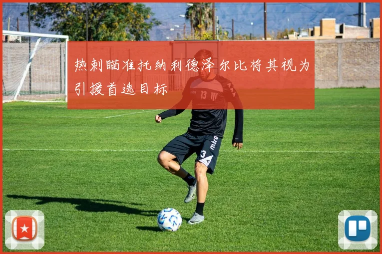 热刺瞄准托纳利德泽尔比将其视为引援首选目标